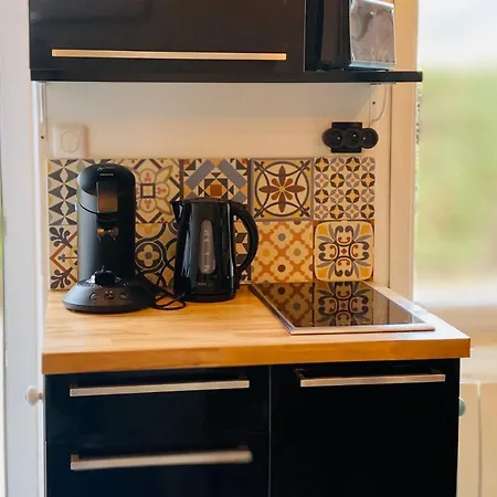 度假居 La Maison Des Plantes, Charmante, Atypique Et Cosy Pour 4 Personnes Avec Parking Et Jardin 鲁昂