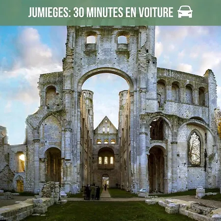 La Maison Des Plantes, Charmante, Atypique Et Cosy Pour 4 Personnes Avec Parking Et Jardin 度假居