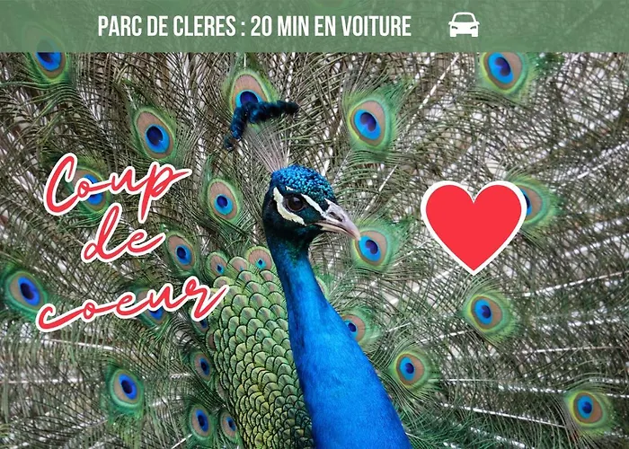 La Maison Des Plantes, Charmante, Atypique Et Cosy Pour 4 Personnes Avec Parking Et Jardin Feriehus