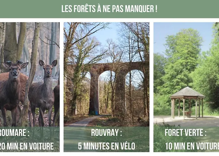 La Maison Des Plantes, Charmante, Atypique Et Cosy Pour 4 Personnes Avec Parking Et Jardin Holiday home